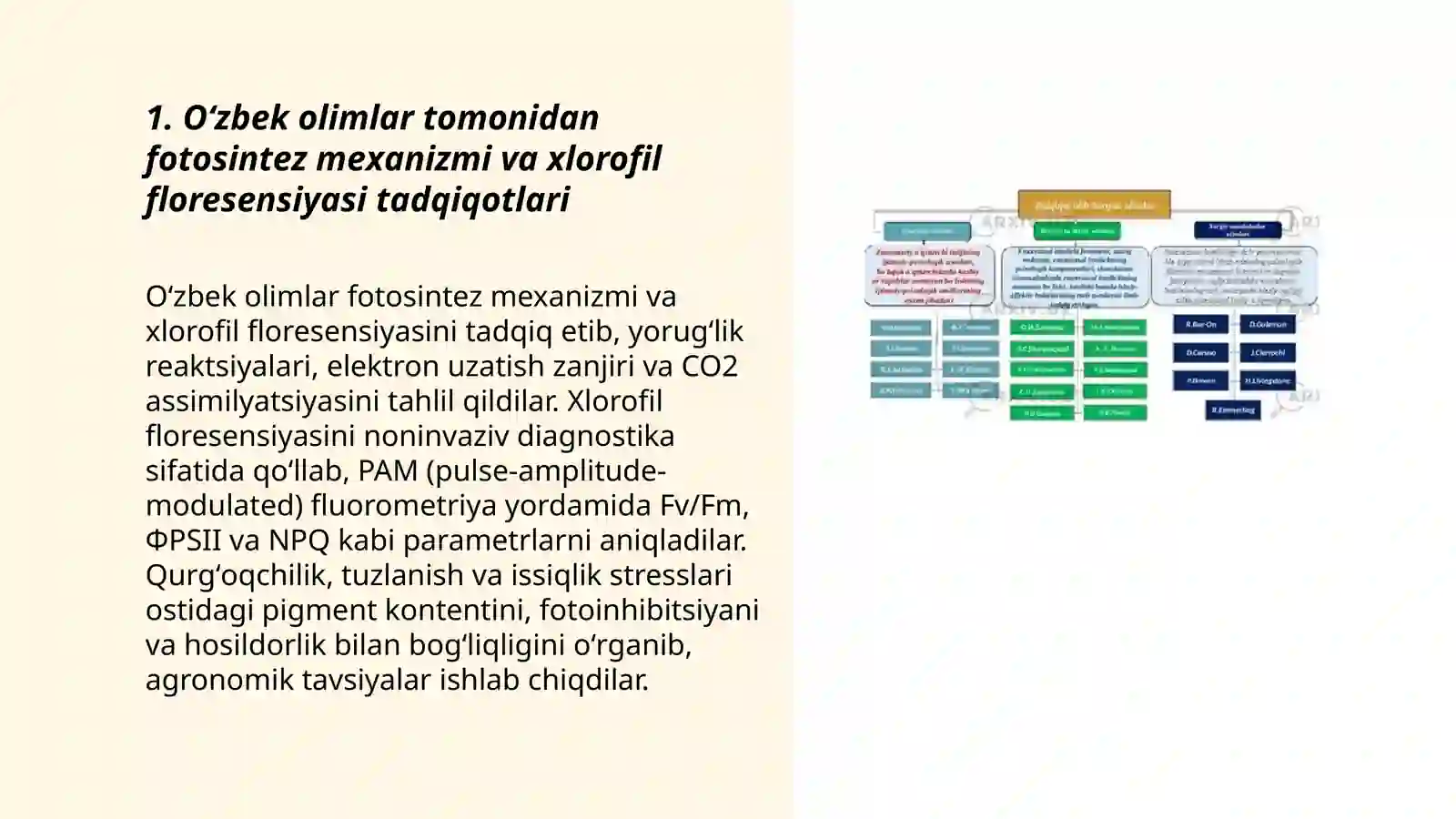 Oʻsimliklar fiziologiyasiga hissa qoʻshgan oʻzbek olimlari olib borgan ilmiy tadqiqot ishlari 3