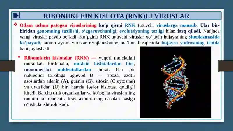 RNK SAQLOVCHI VIRUSLAR KELTIRIB CHIQARUVCHI YUQUMLI KASALLIK QO’ZG’ATUVCHILARI. ORTOMIKSOVIRUSLAR, PARAMIKSOVIRUSLAR 3