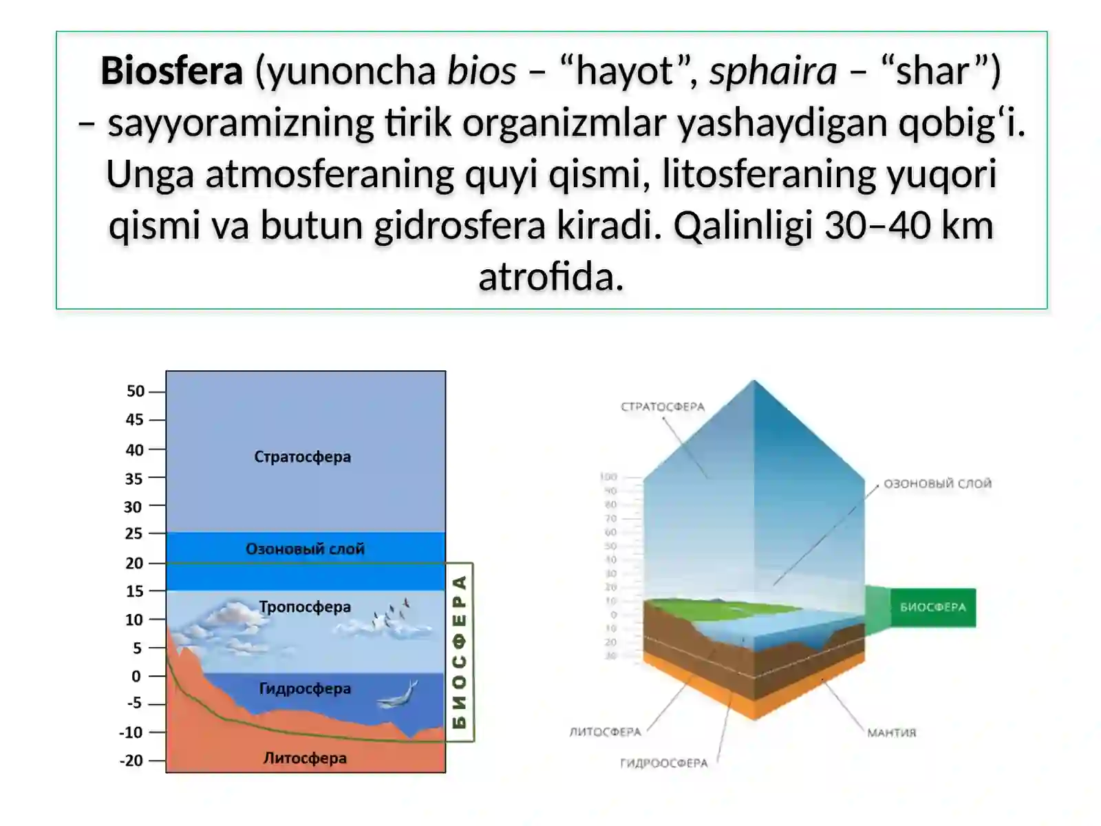 MAVZU.BIOSFERA 3
