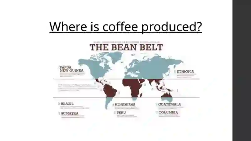 Coffee Culture 3