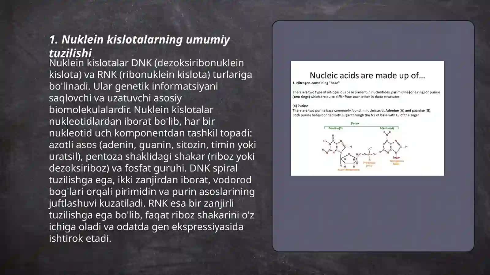 Nuklein kislotalarning tuzilishi va fizik kimyoviy xossalari 3