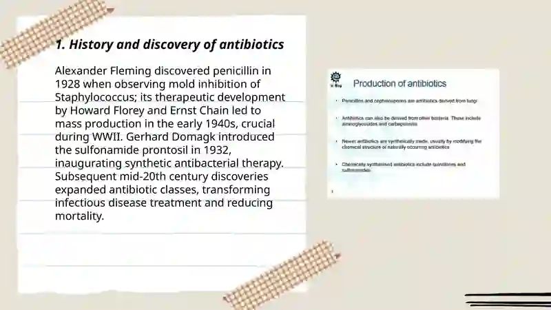 Antibiotics Discussion Presentation 3