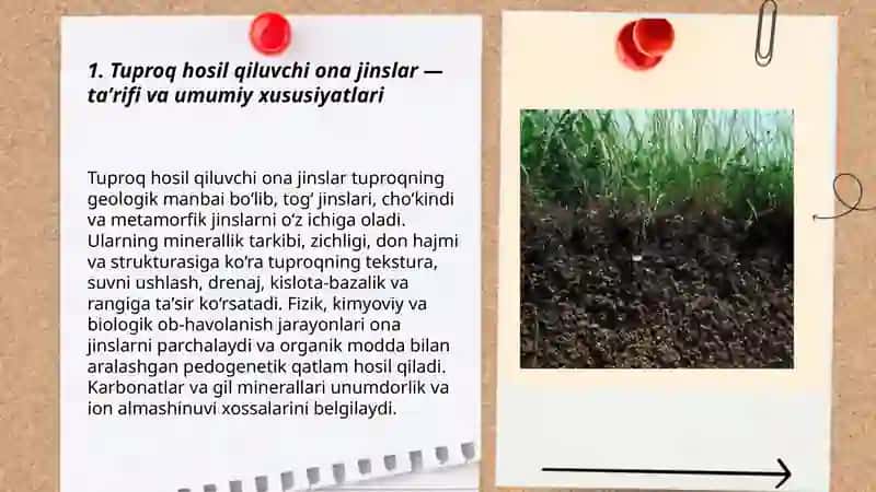 Tuproq hosil qiluvchi ona jinslar 3