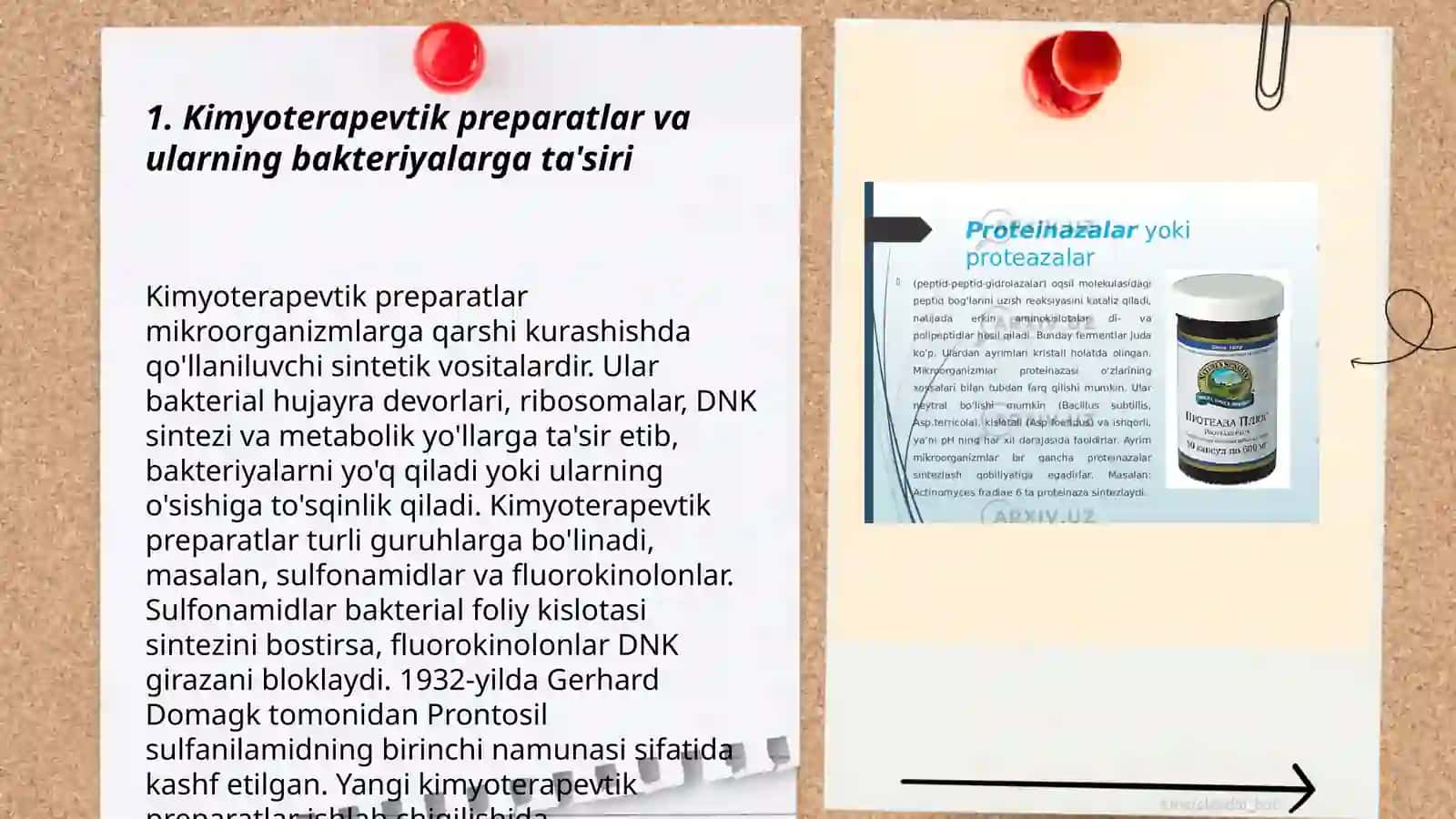 Kimyoterapevtik preparatlar va antibiotiklarning bakteriyalarga chidamli shtammlarining shakllanish mexanizmlari. Amonova Nordona 3