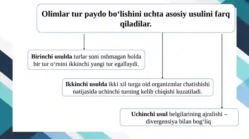 Turlarning paydo bo`lishi 3