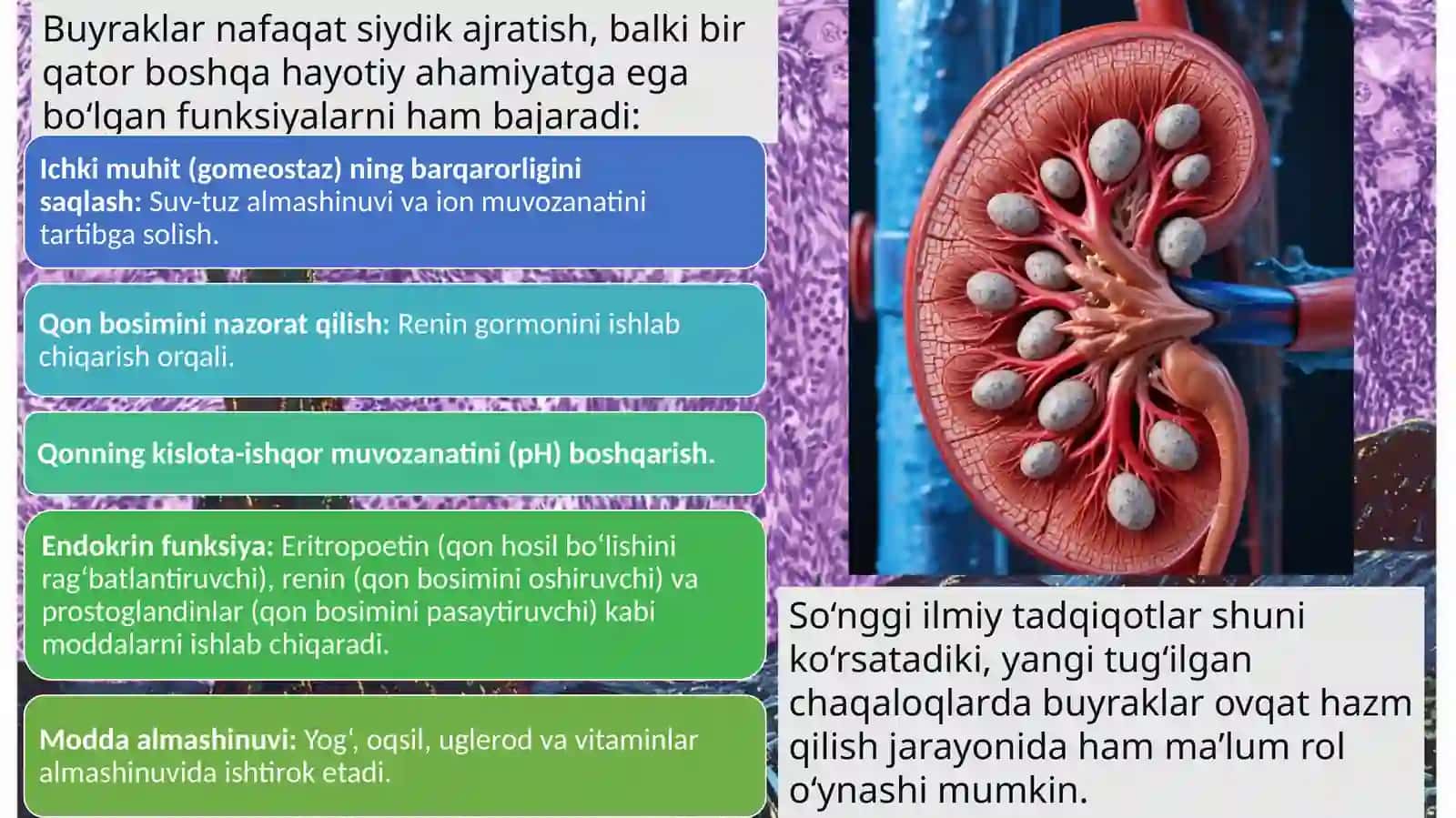 AYIRISH SISTEMASI: Tuzilishi, Funksiyasi va Rivojlanishi 3