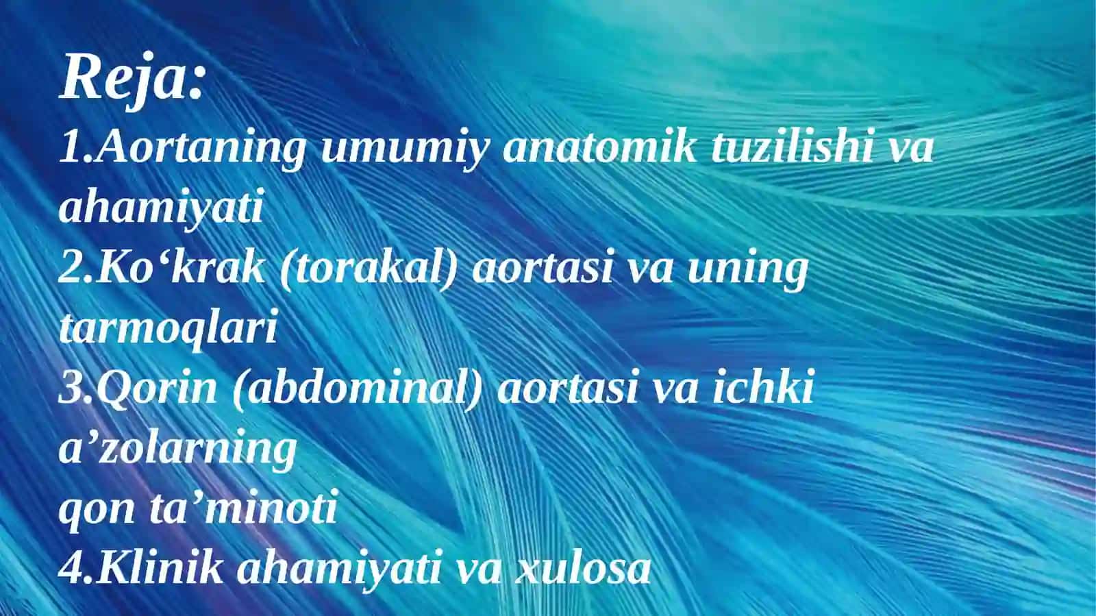 Ko'krak va qorin aortasi 3