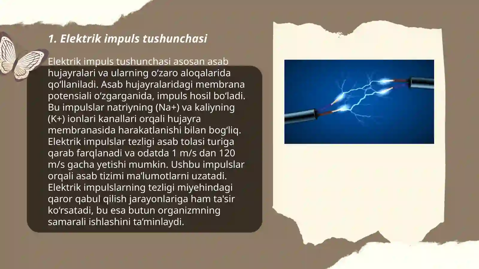 Elektrik impuls 3
