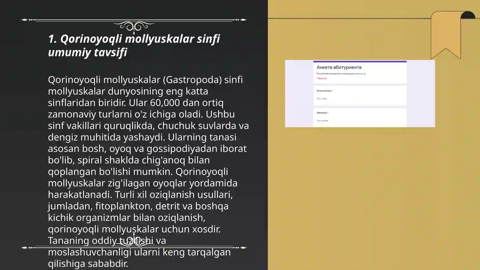 Qorinoyoqli mollyuskalar (Gastropoda ) sinfi Tok shillig‘i yoki suv shillig‘i tuzilishi bilan tanishish. Cephalopoda (Boshoyoqlilar ) sinfi: Vakil: sepia officinalis (karakatitsa), tashqi va ichki tuzilishi 3