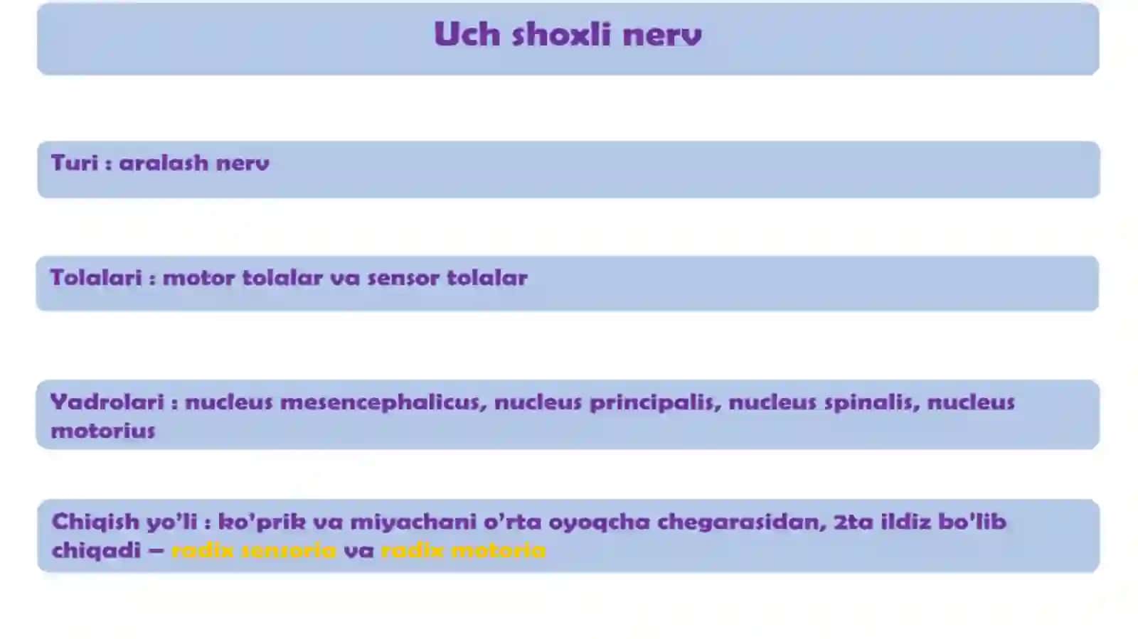 Nervus Trigeminus Nevralgiyasi Patogenezivasindromlari 3