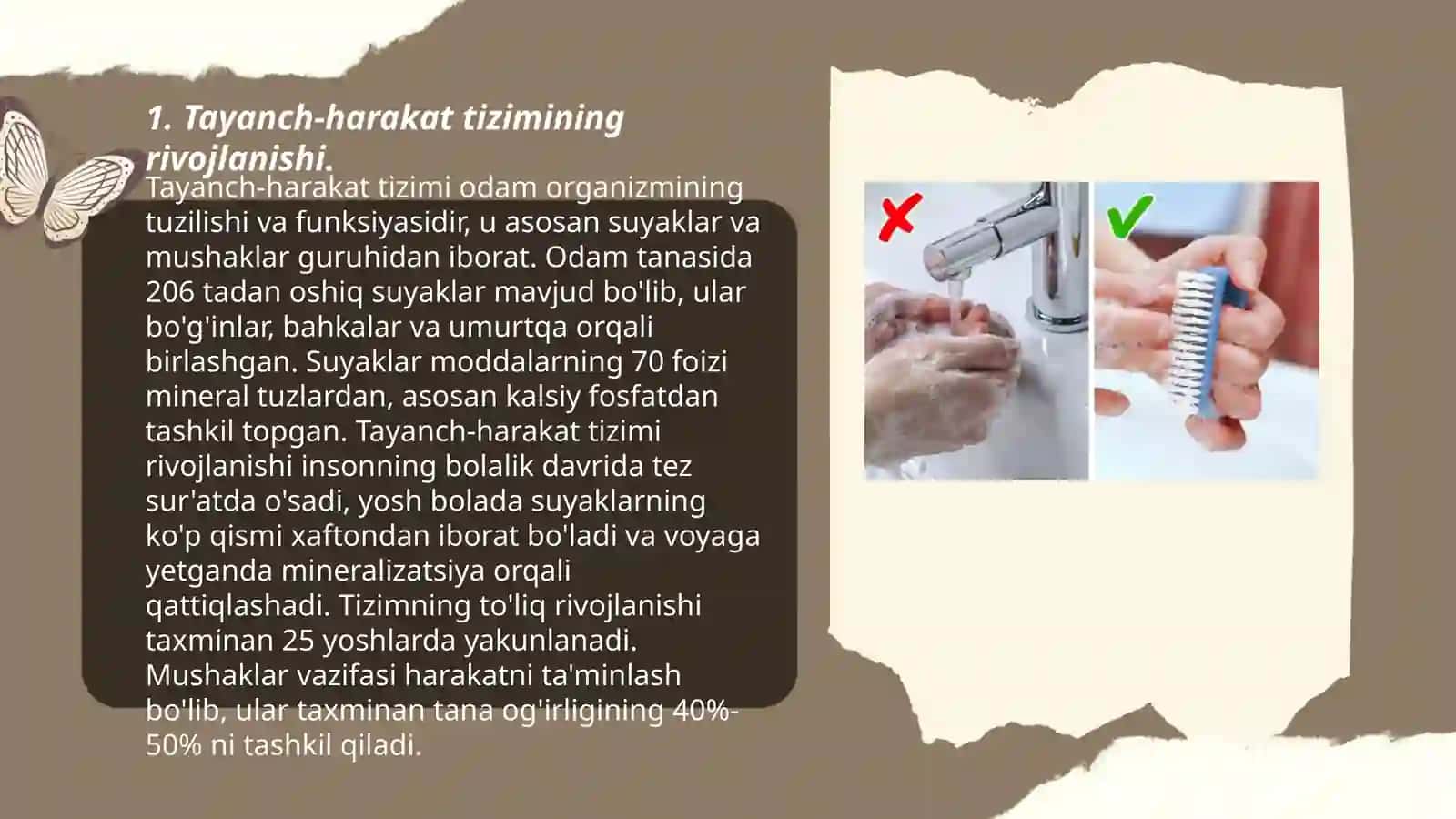 Tayanch va harakat tizimining yosh xususiyatlari va gigiyenasi 3