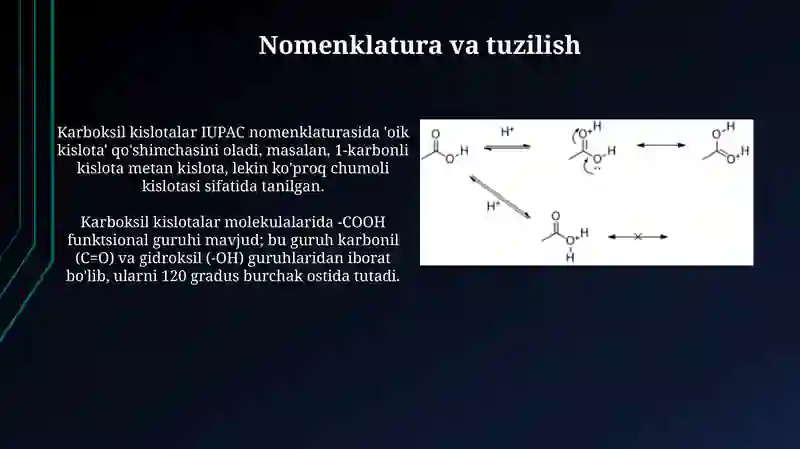 Karbon kislotalarning tutgan oʻrni va ahamiyati 3