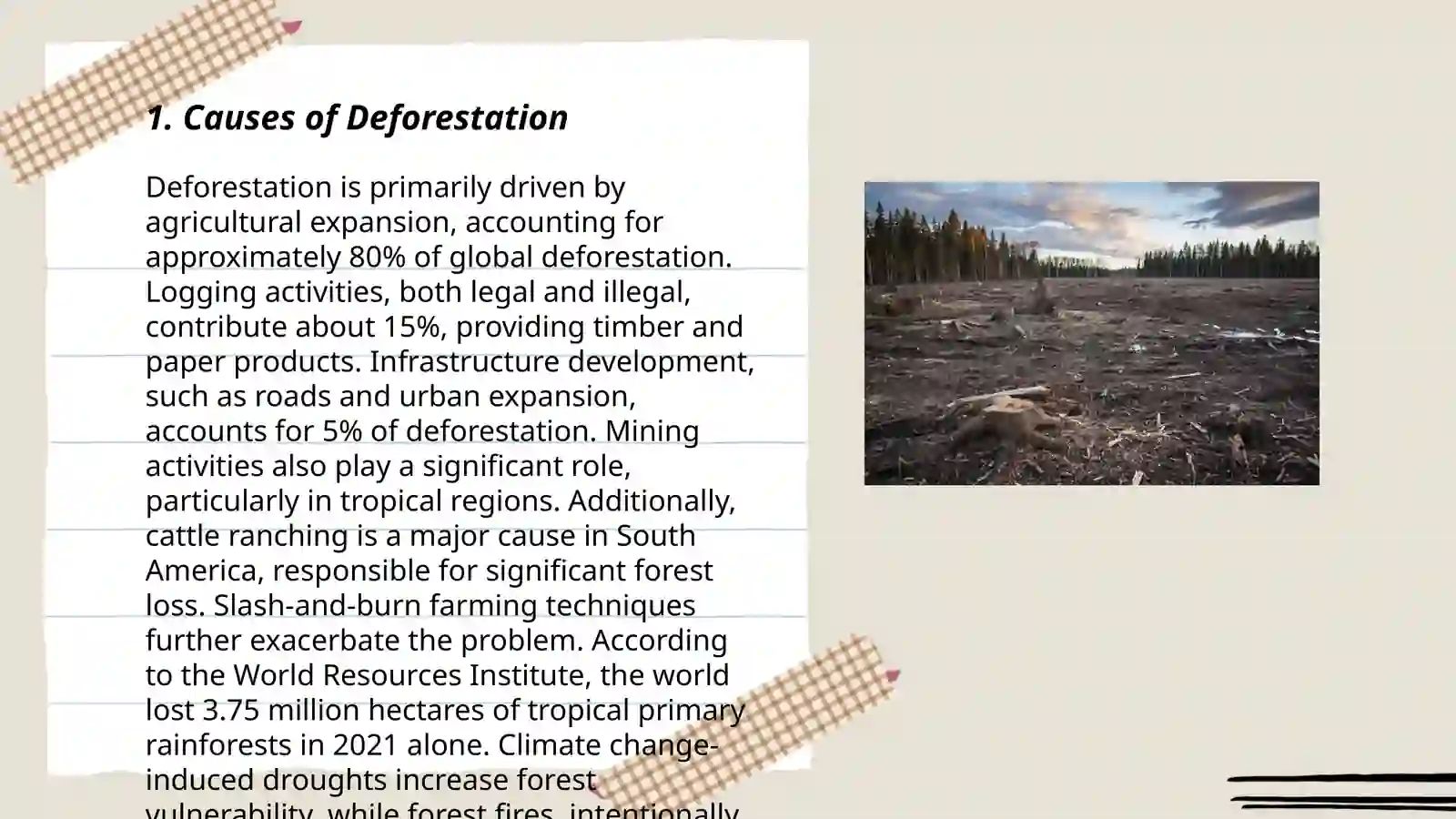 Deforestation 3