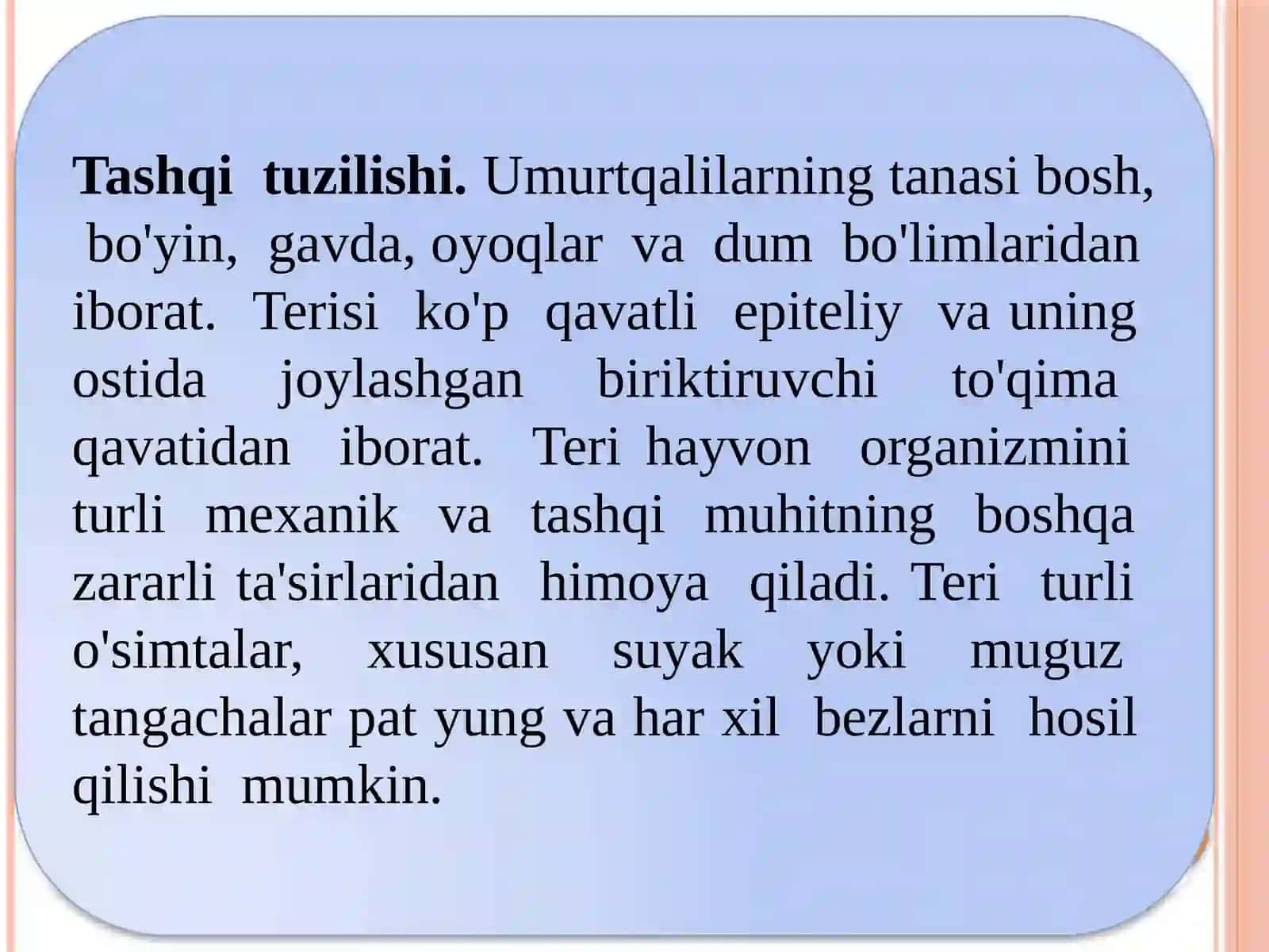 Umurtqalilarkenjatipi 3