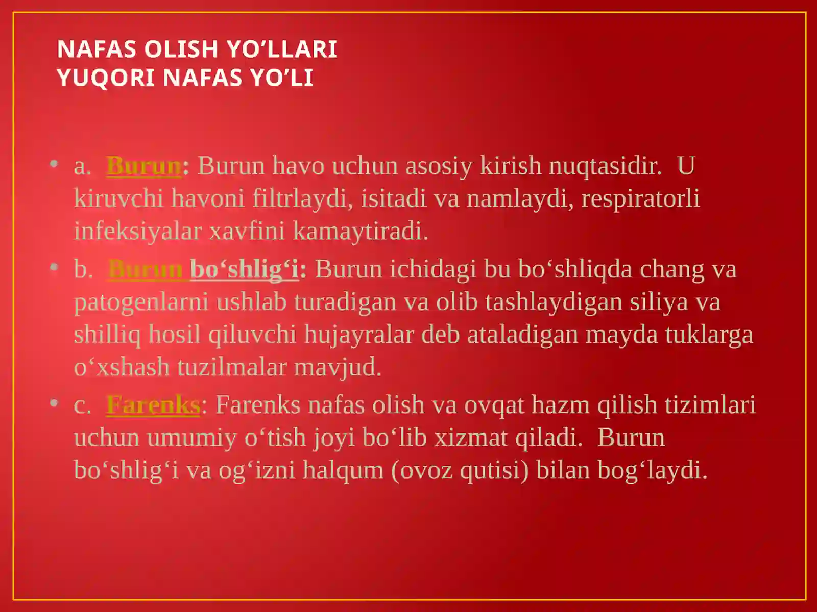 Nafas olish tizimi 3