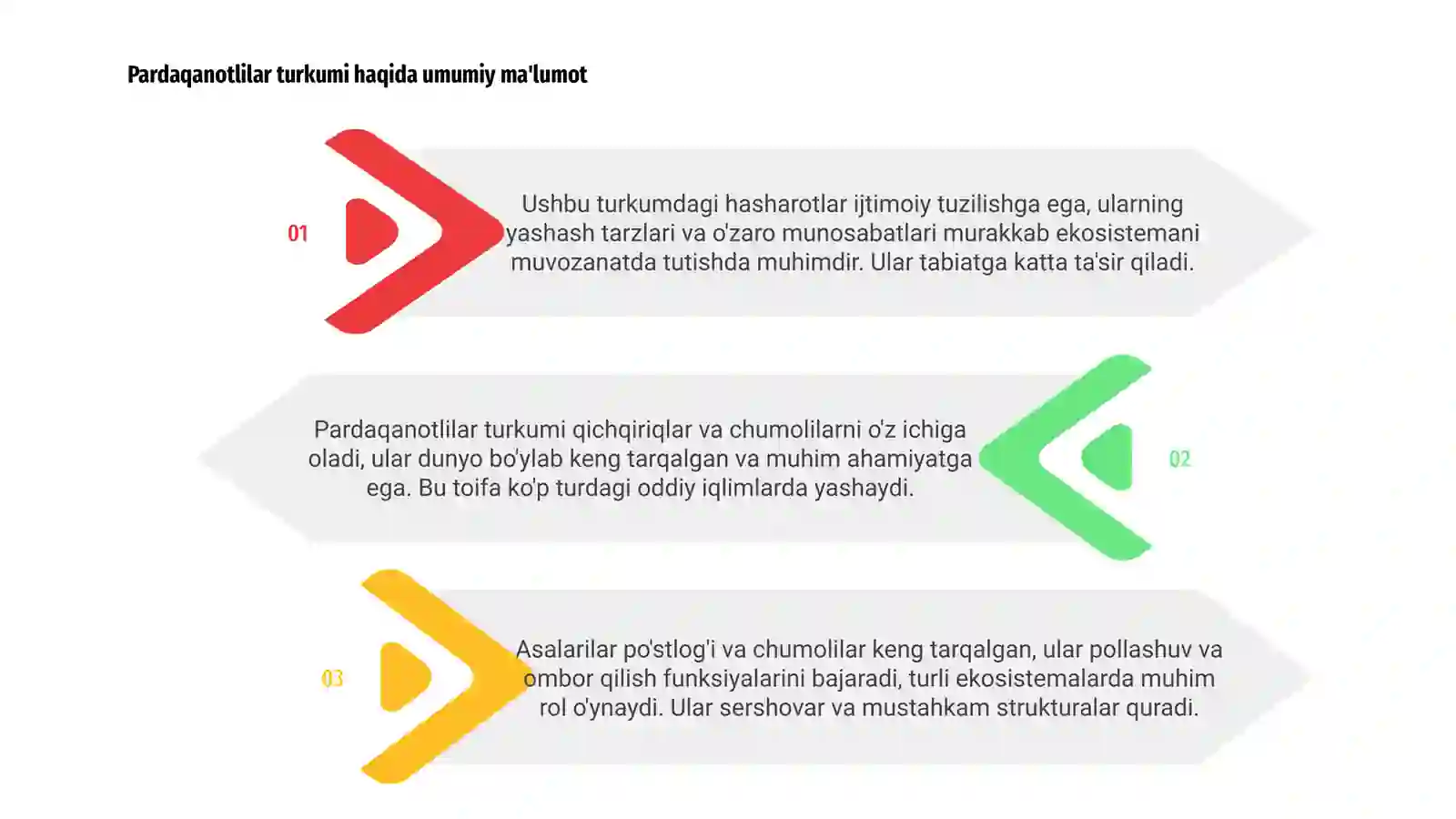 Pardaqanotlilar turkumi haqida umumiy ma'lumot 3