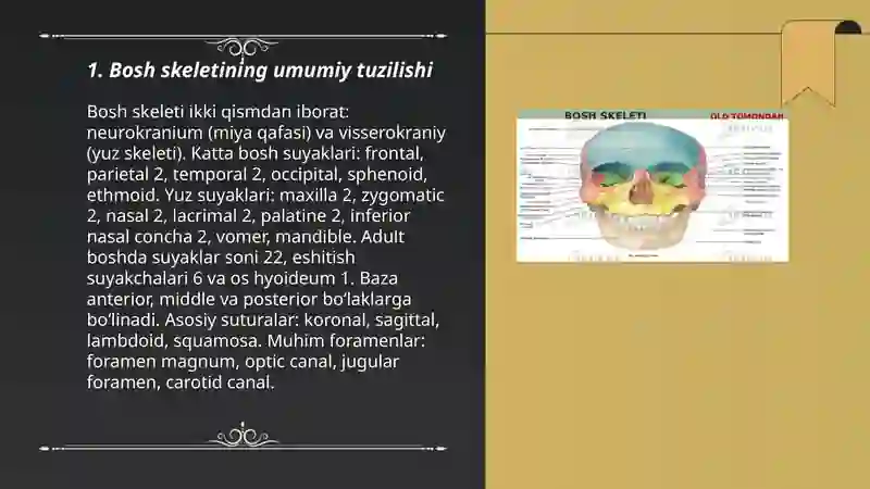 Bosh skeleti 3