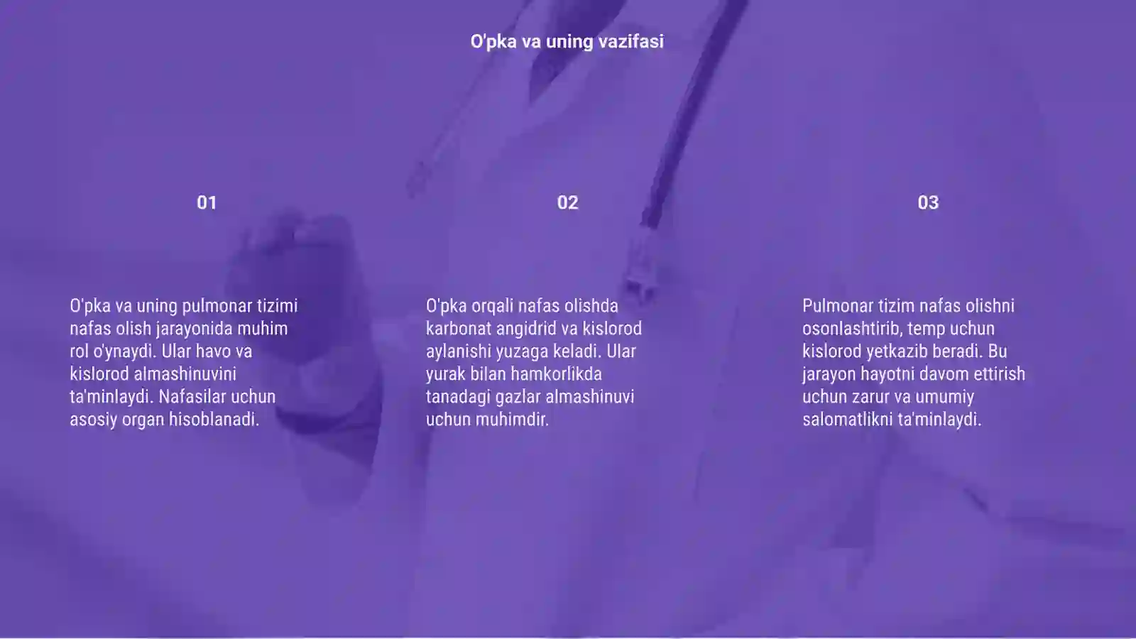 O'pka va uning pulmonar tizimi 3