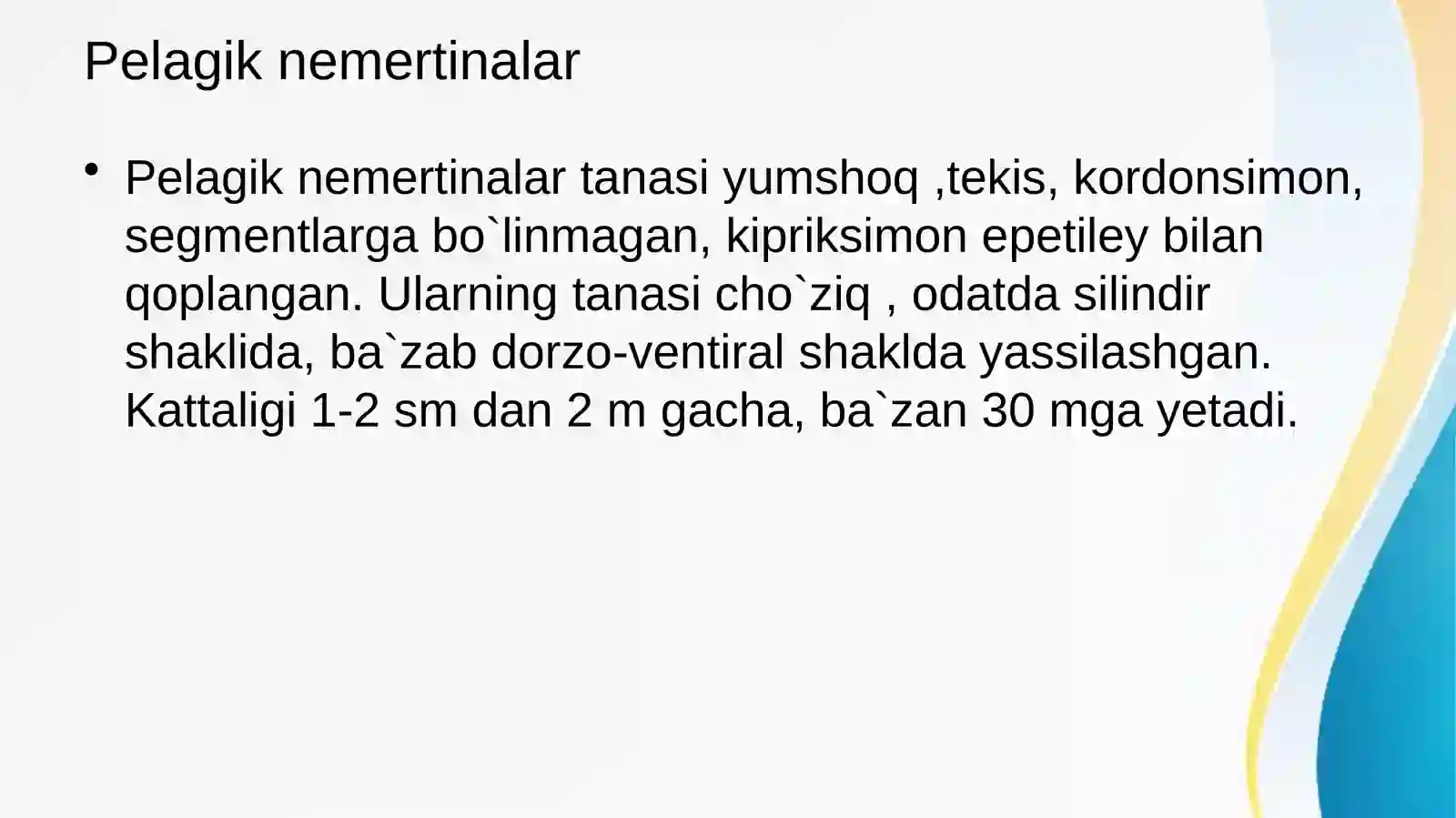Nemertinlar tipi 3