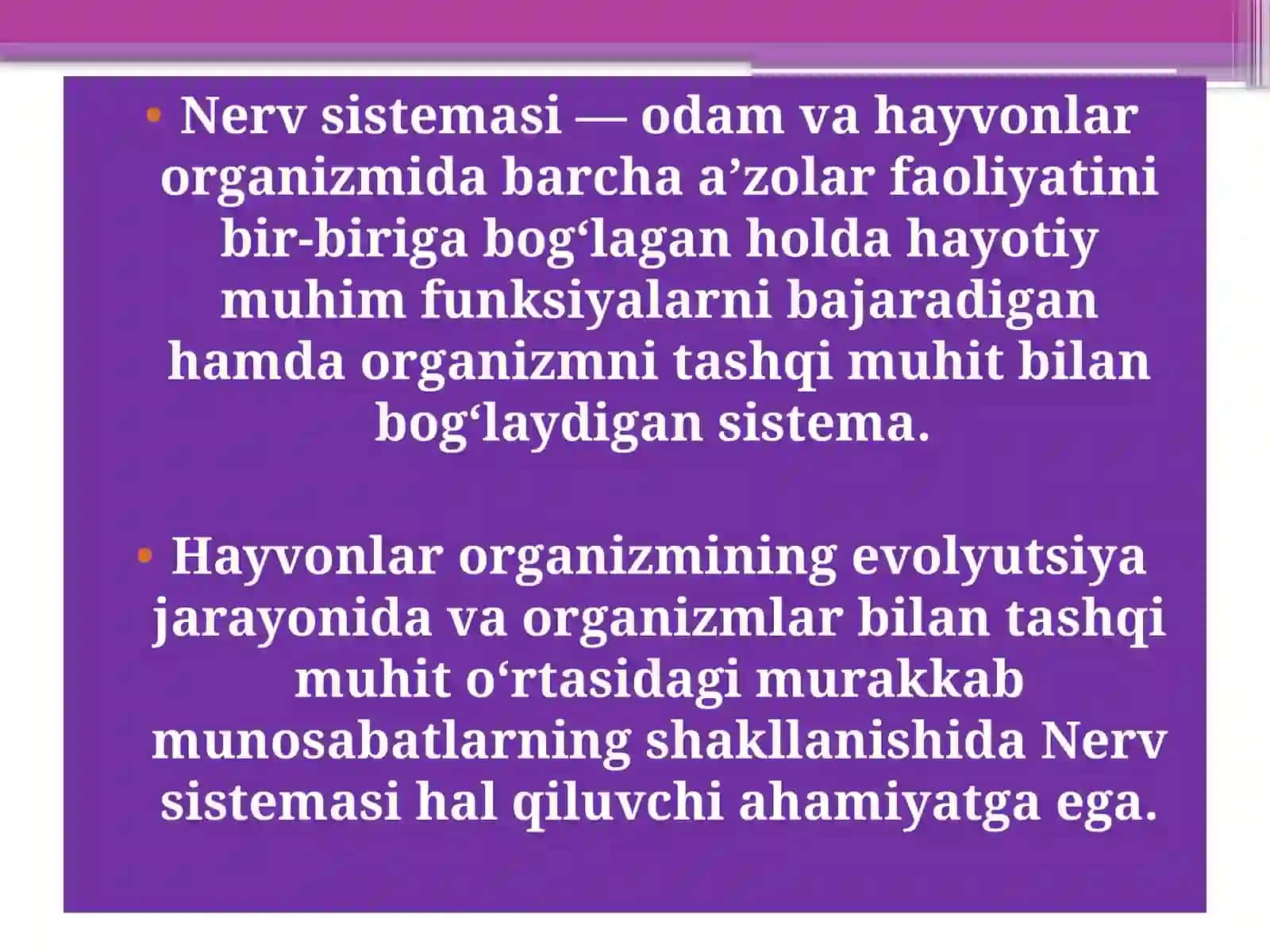 Nervsistemasi 3