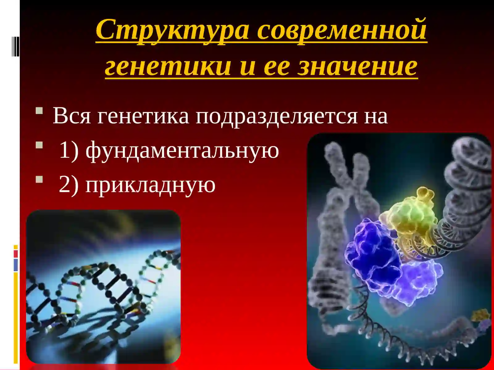 ОСНОВЫ ГЕНЕТИКИ 3