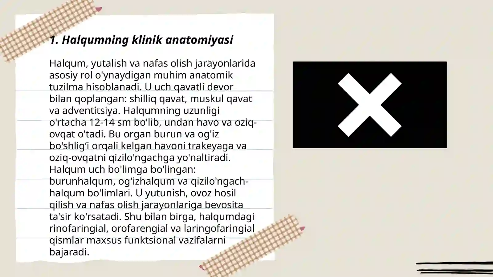 Halqumning, hiqildoq klinik anatomiyasi 3