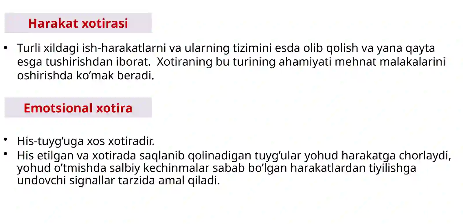 XOTIRA 3