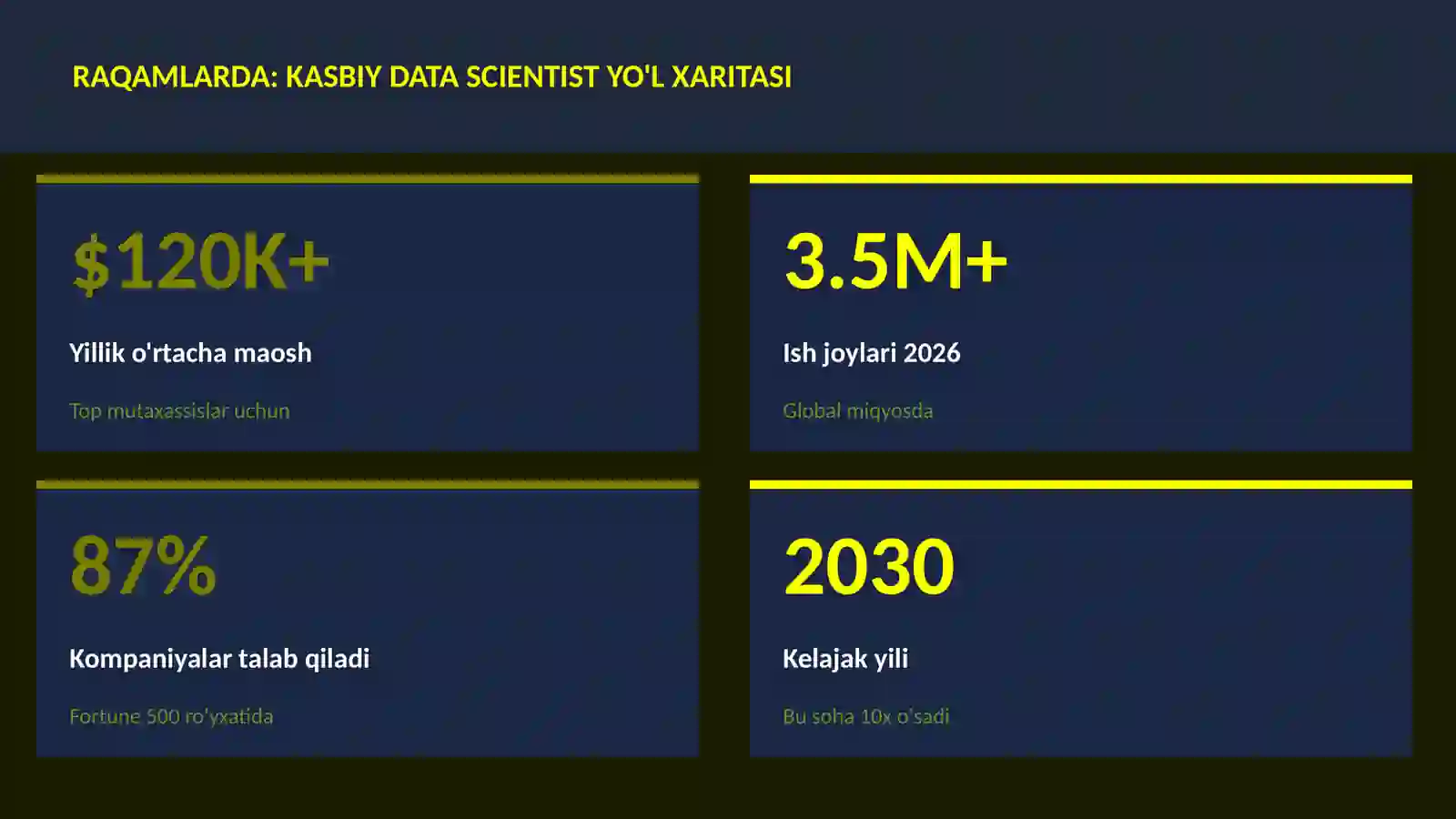 Kasbiy data scientist yo'l xaritasi 3