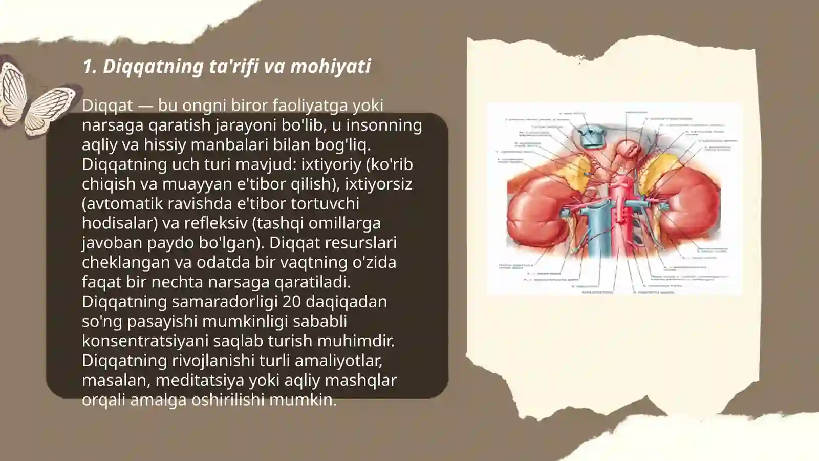 Diqqat va sezgi hagida tushuncha, uning nerv-fiziologik asoslari 3