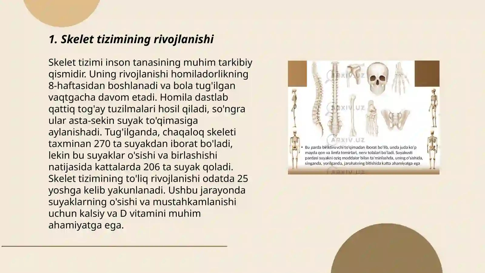 Skelet tizimi filogenezi va buzilishlari 3