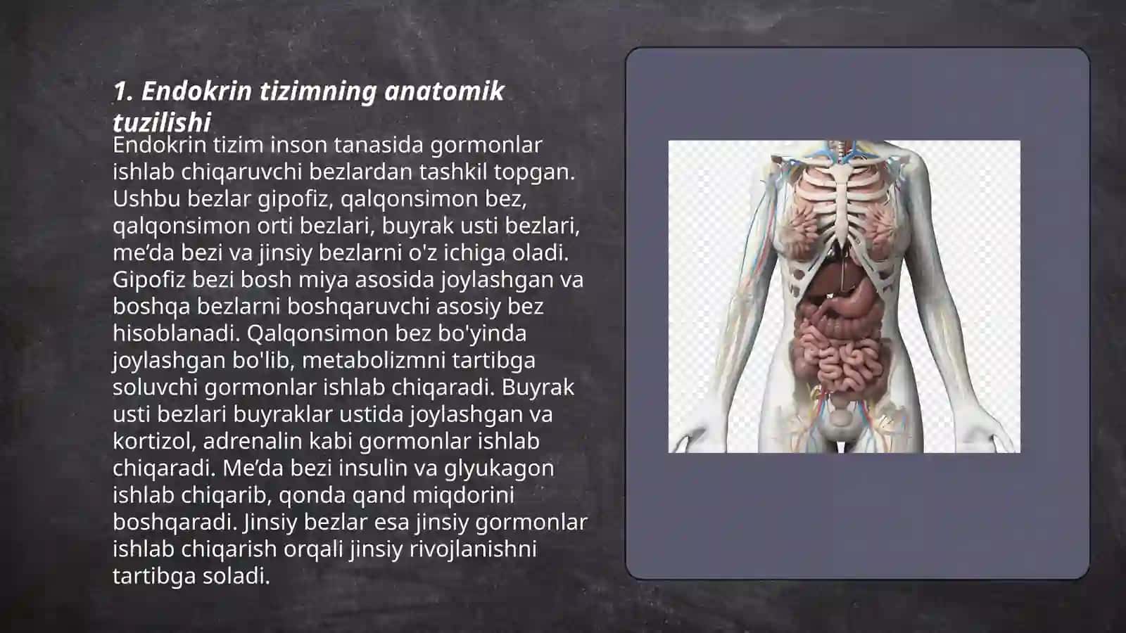 Endokrin tizimning inson organizmi va xulq-atvorning ahamiyati 3