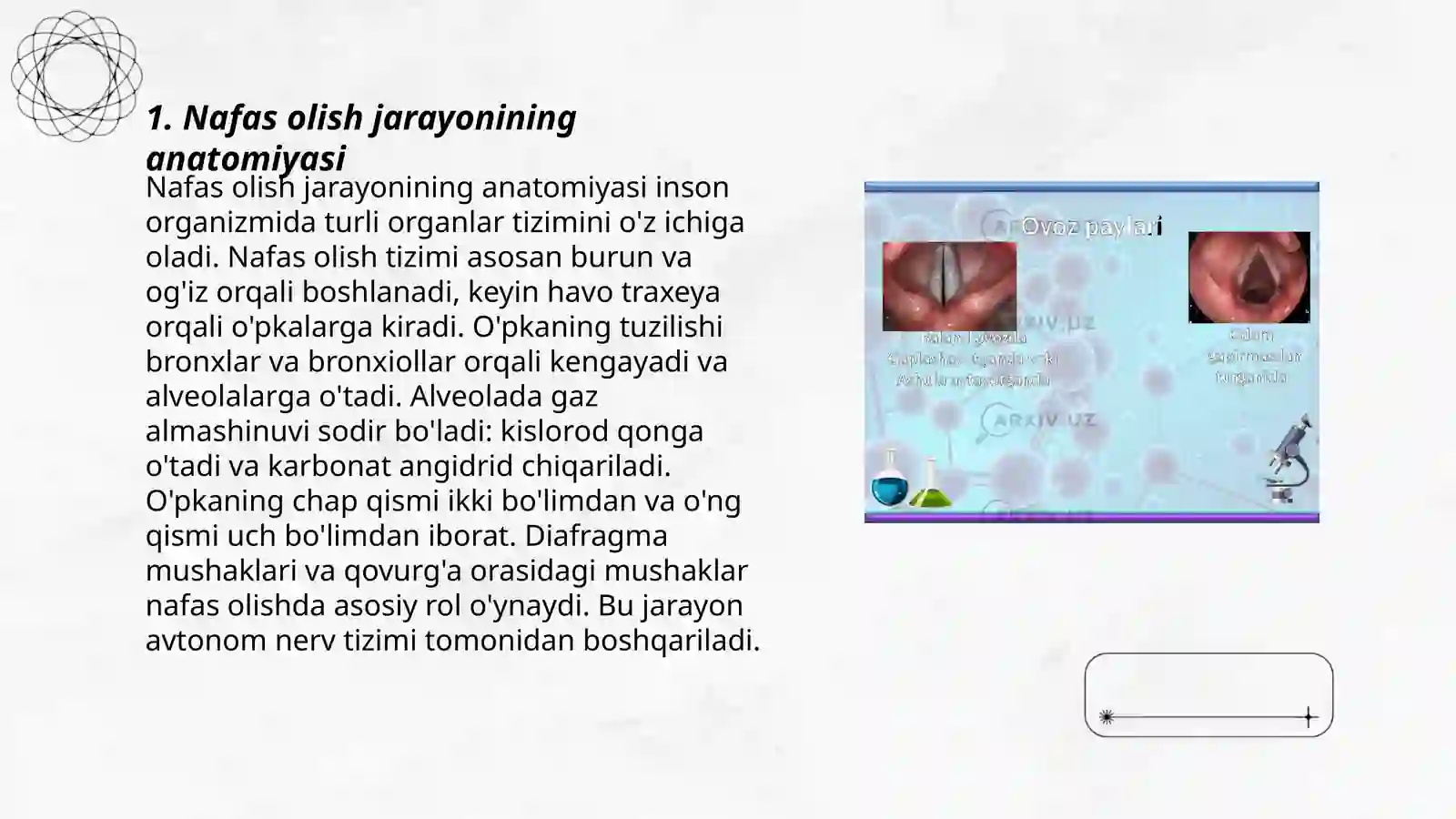 Nafas olish fiziologiyasi 3