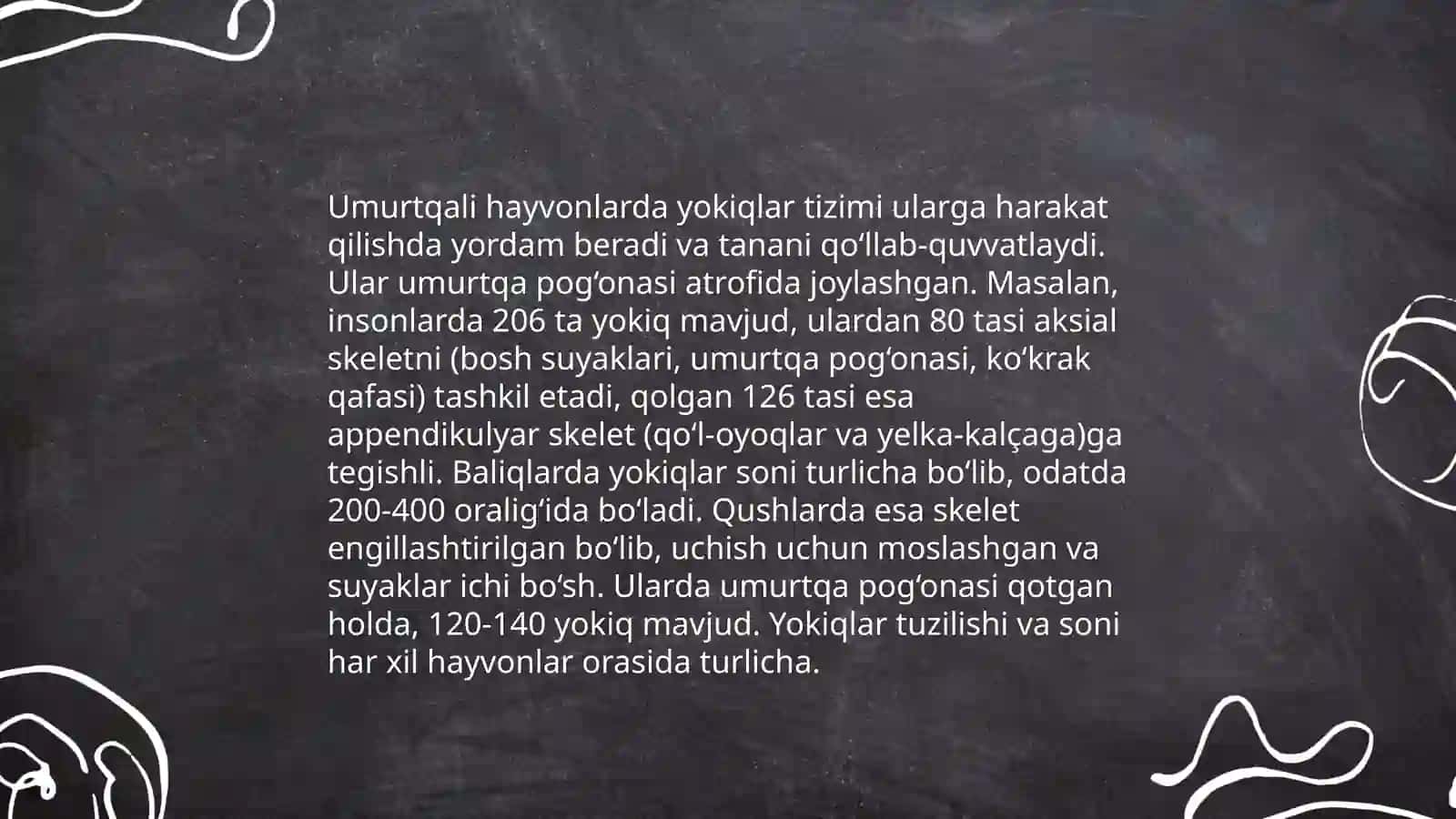 Umurtqali hayvonlarda yokiqlar tizimi 3