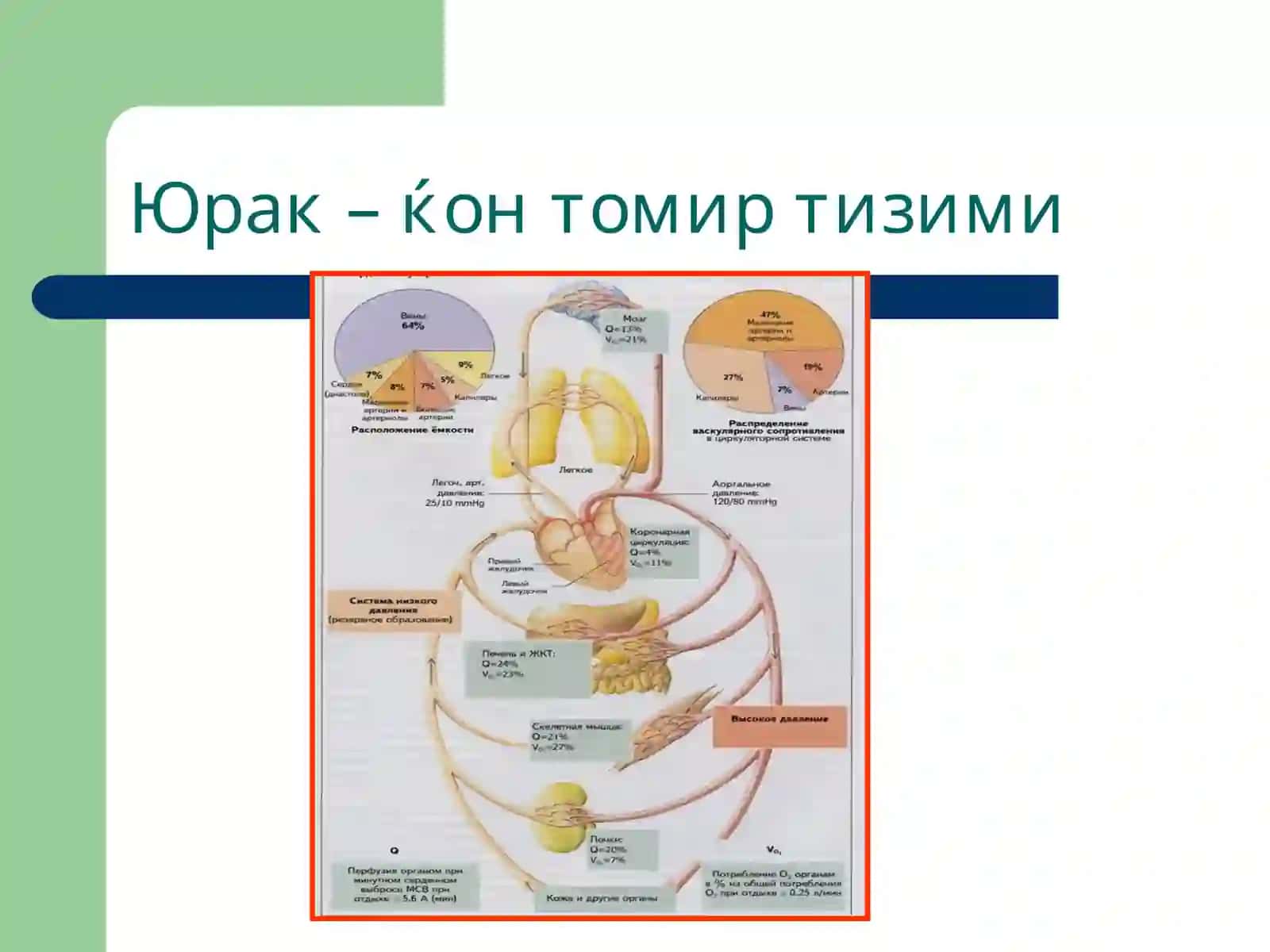 Томирлар тизими патофизиологияси 3