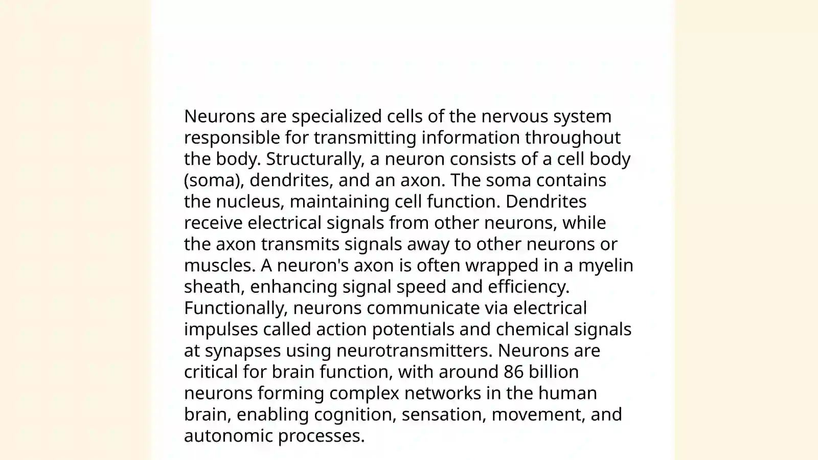 Neurons 3