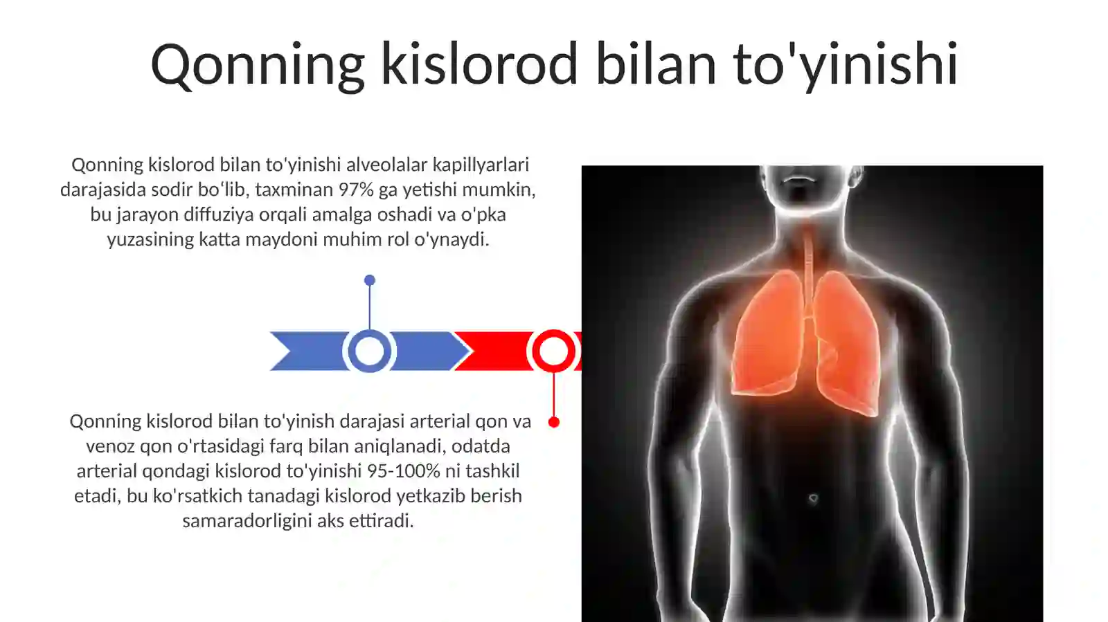 Nafas olish sistemasi fizologiyasi 3