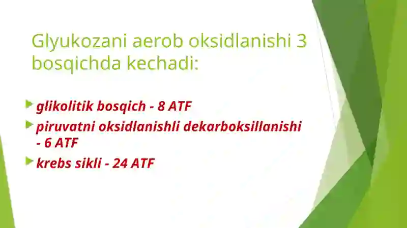 Glyukoza katabolizmi va glukoneogenez 3