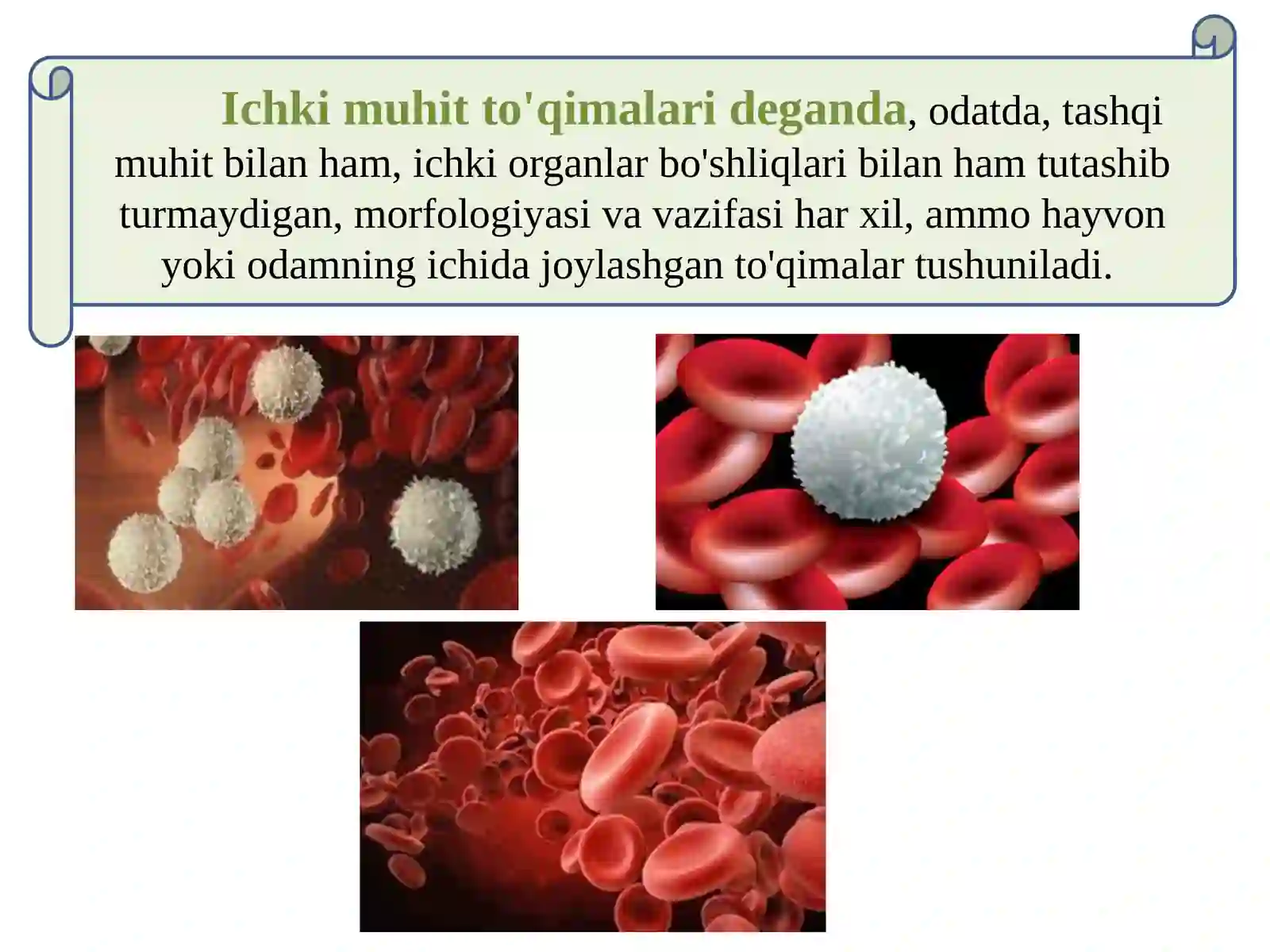 Ichkimuhitto’qimalari.Qonvashakllielementlartuzilishi,xususiyatlari 3