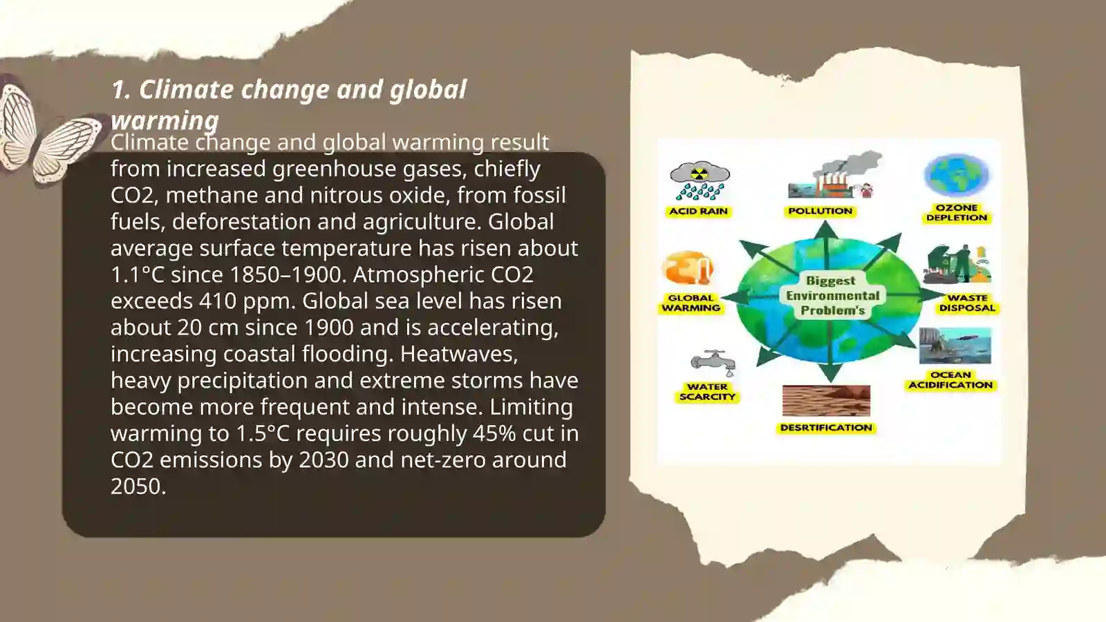 Ecological Problems 3