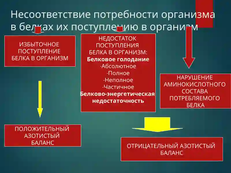Типовые нарушения обмена белков 3