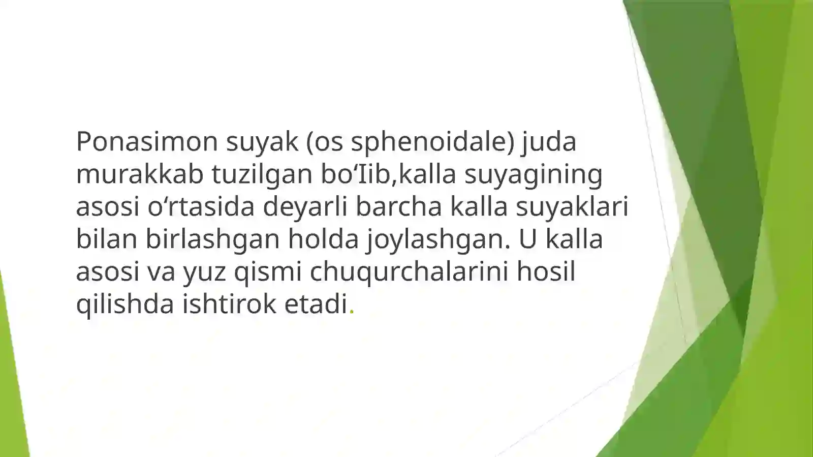 Ponasimon va chakka suyagi 3