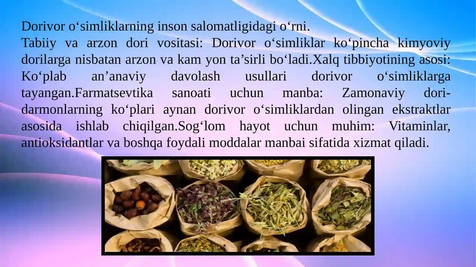 Dorivor limon oʻti - Melissa officinalis L. oʻsimligini yetishtirish texnologiyasi. 3
