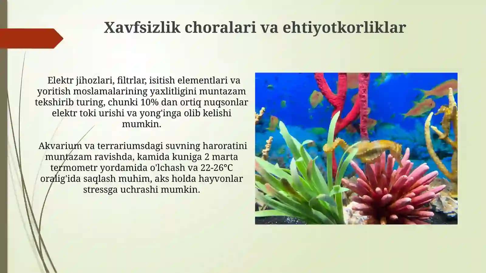 Akvariumda va terrariumda yashovchilarni parvarishlashning shart sharoitini órganish 3
