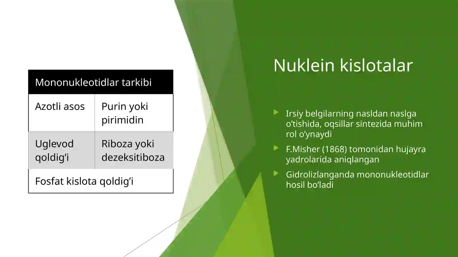 nuklein kislotalar 3