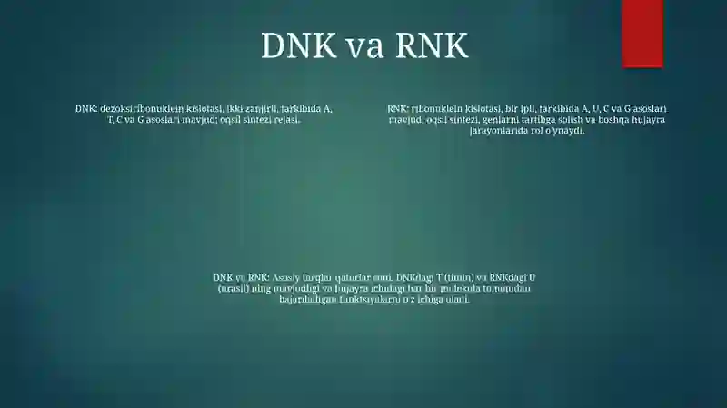 DNK va RNK 3