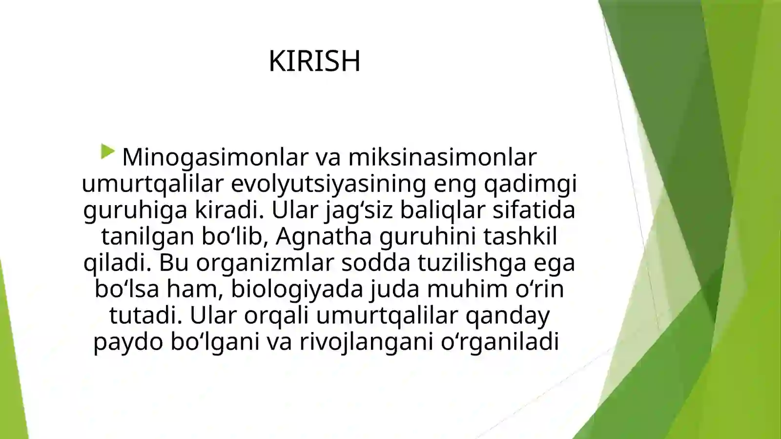 Minogasimonlar - Petpomyzontiformes va Miksinasimonlar - Myxiniformes turkumlari, ekologiyasi va ahmiyati 3