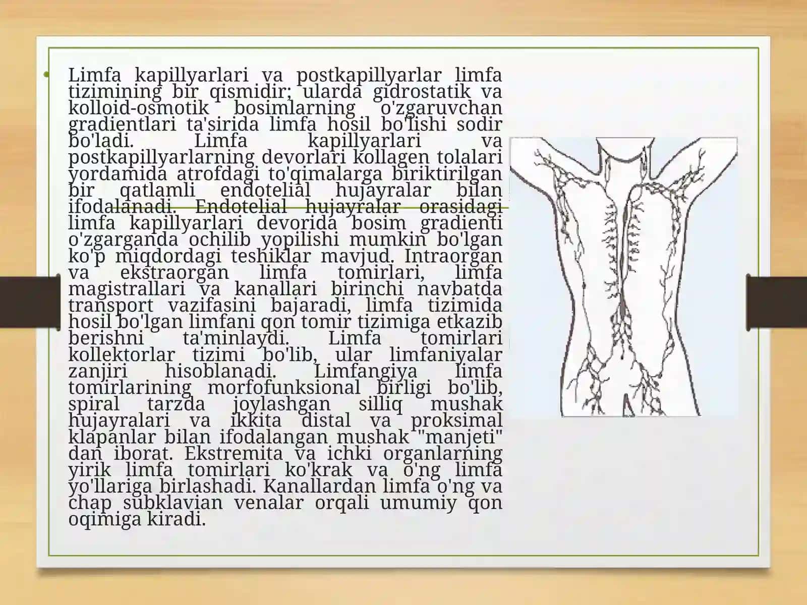 Gistologiya va Tibbiy Biologiya 3