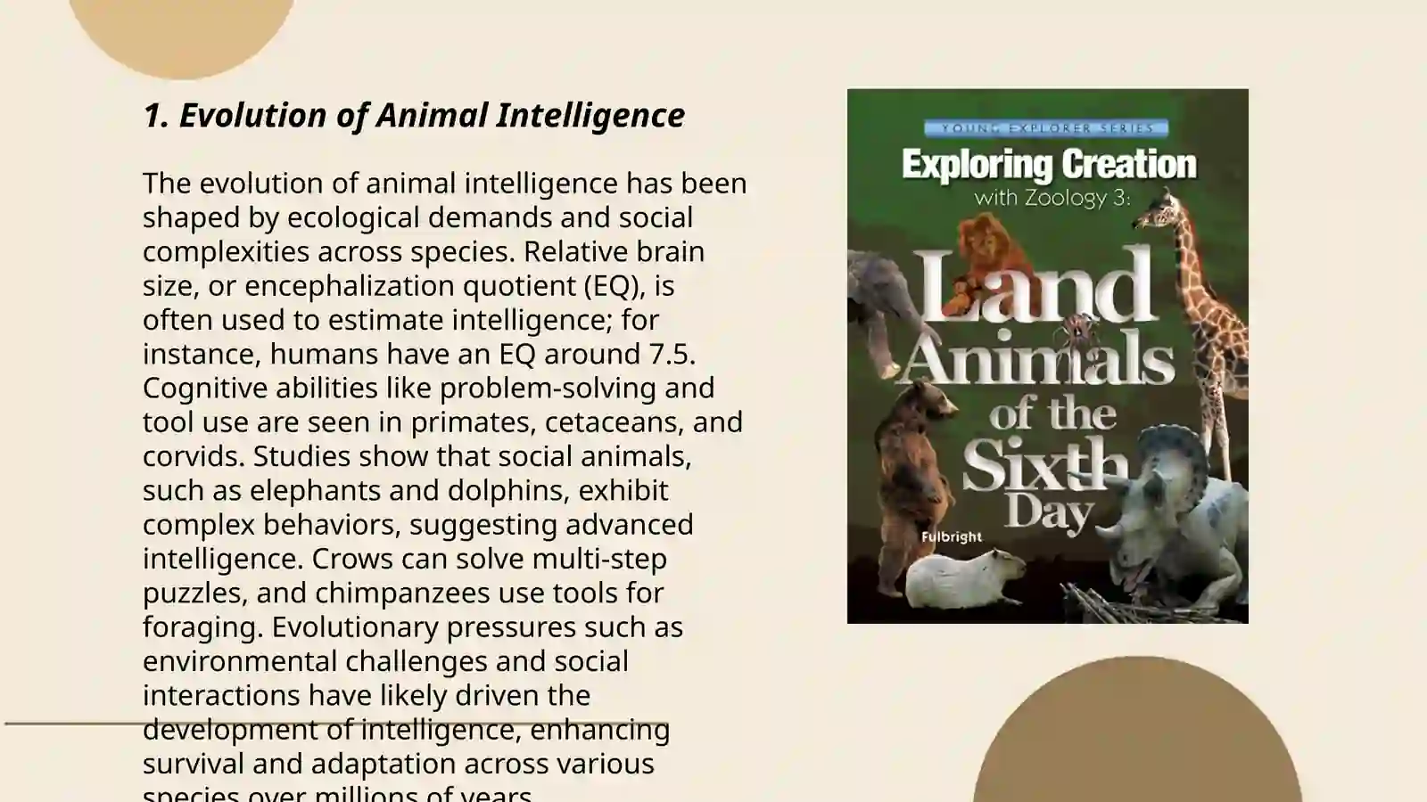 Animals Intellegence Zoology 3