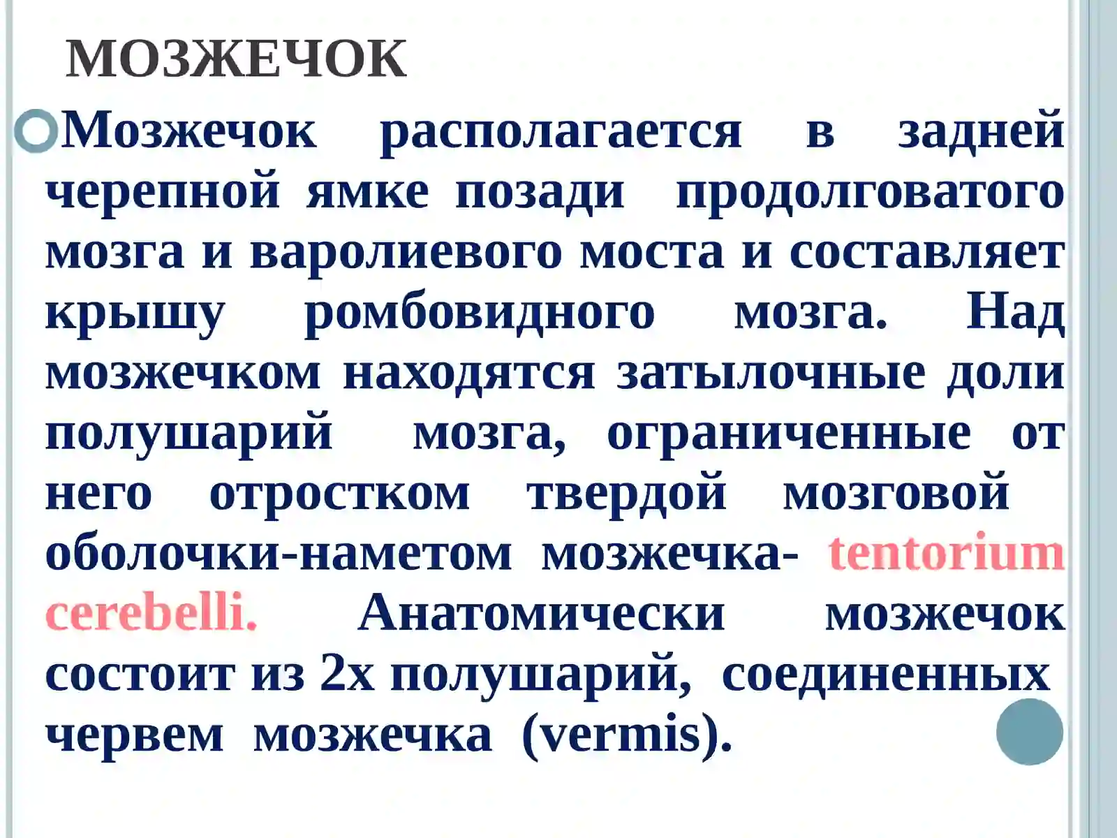 Экстрапирамидная система и мозжечок 3