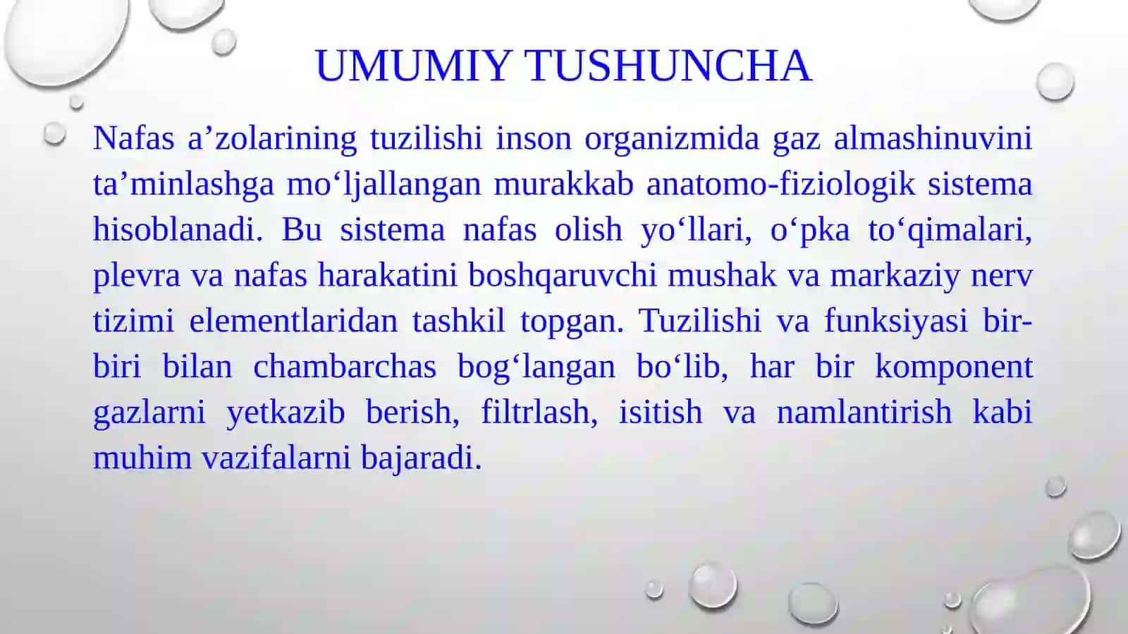 Nafas aʼzolarining tuzilishi 3